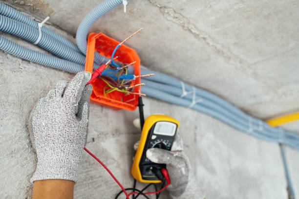 Best Electric Panel Repair  in Barnwell, SC